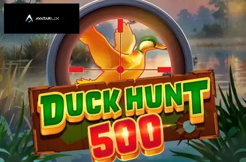 Duck Hunt 500